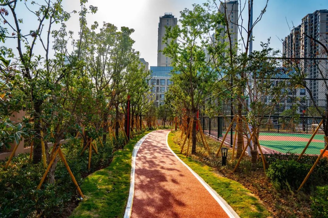 67温州首个体育主题公园瓯海乐动公园来了