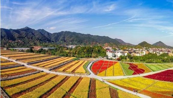 别错过!"花满棠棣"美丽乡村骑行赛周六举行!_漓渚镇