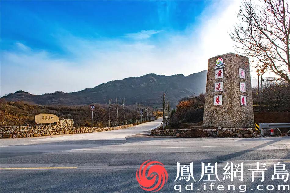 藏马山田园文旅综合体,佳沃蓝莓,青岛绿色硅谷科技园,杨家山里片区