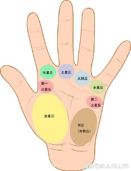 手相趣谈三地纹生命线代表着体力运气健康财运看你的好不好