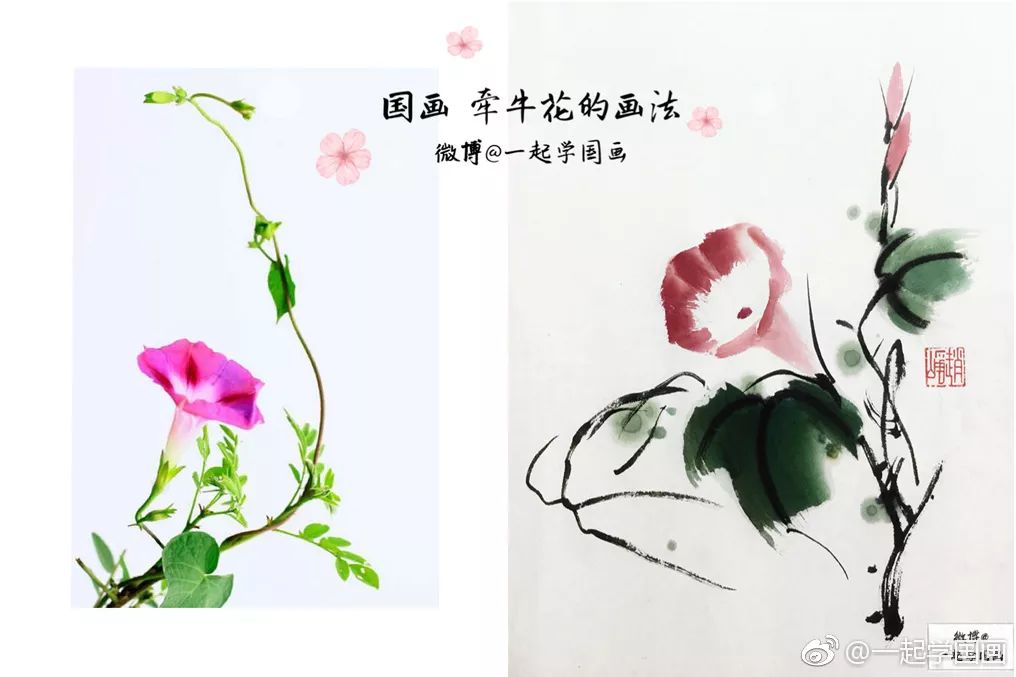 写意牵牛花画法,一学就会!