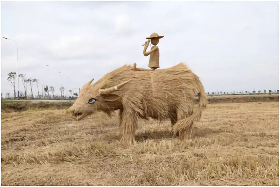 市现代农业开发区环境面貌大提升助力全省乡村产业高质量发展大会
