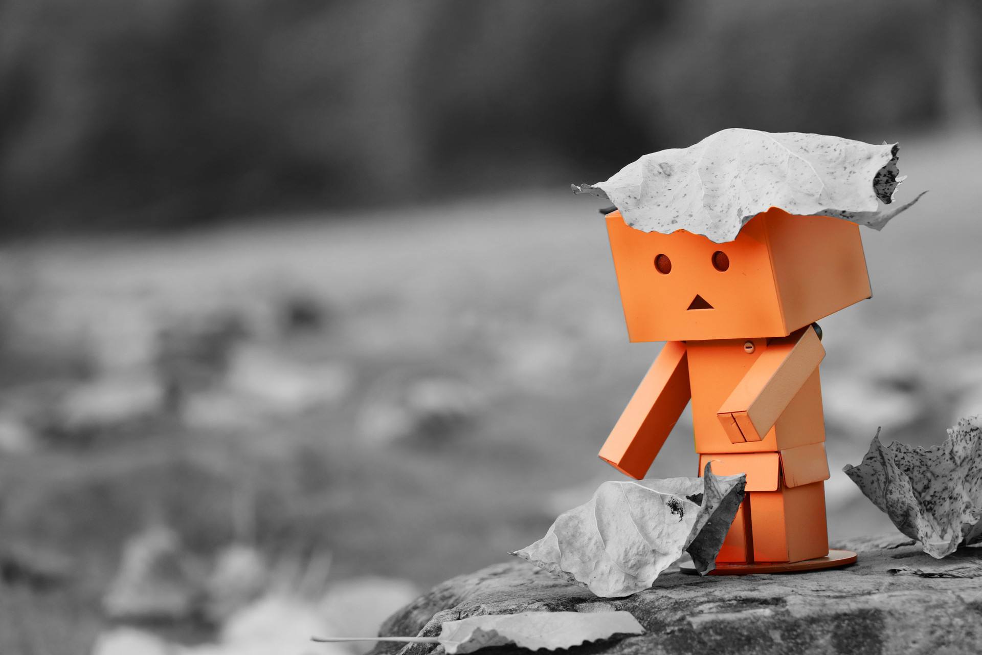 小学低年级孩子有2个成长的误区分别跟爸妈和爷爷奶奶有关