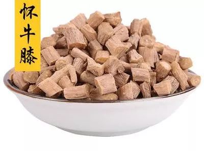 国灸套盒里的怀牛漆这样重要你可曾知道