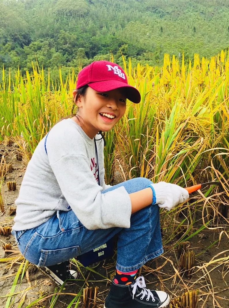 沸腾了童年里最美的田园丰收节把秋天直接装进了孩子的心里