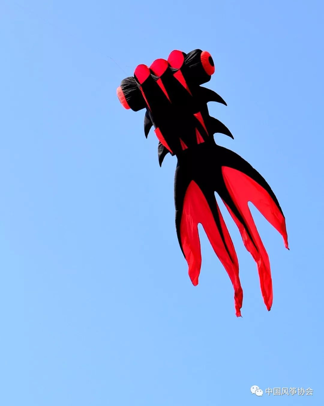 五湖四海如东再聚 南鹞北鸢精彩纷呈_风筝会