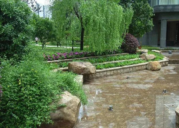 小区绿化园林植物的配置学习_景观