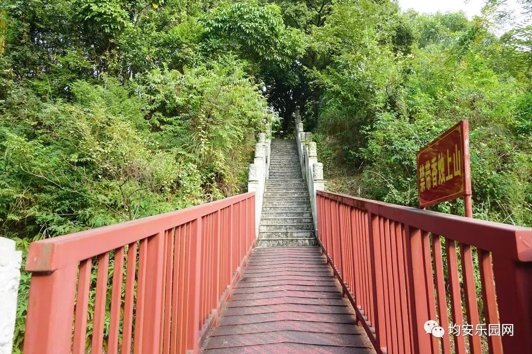 顺德八景之一均安这座古寺不简单