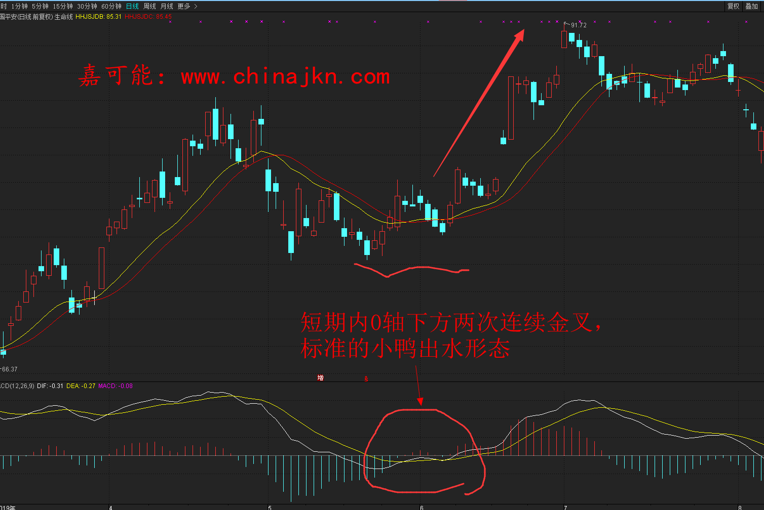 股市技巧股票macd指标小鸭出水看多形态