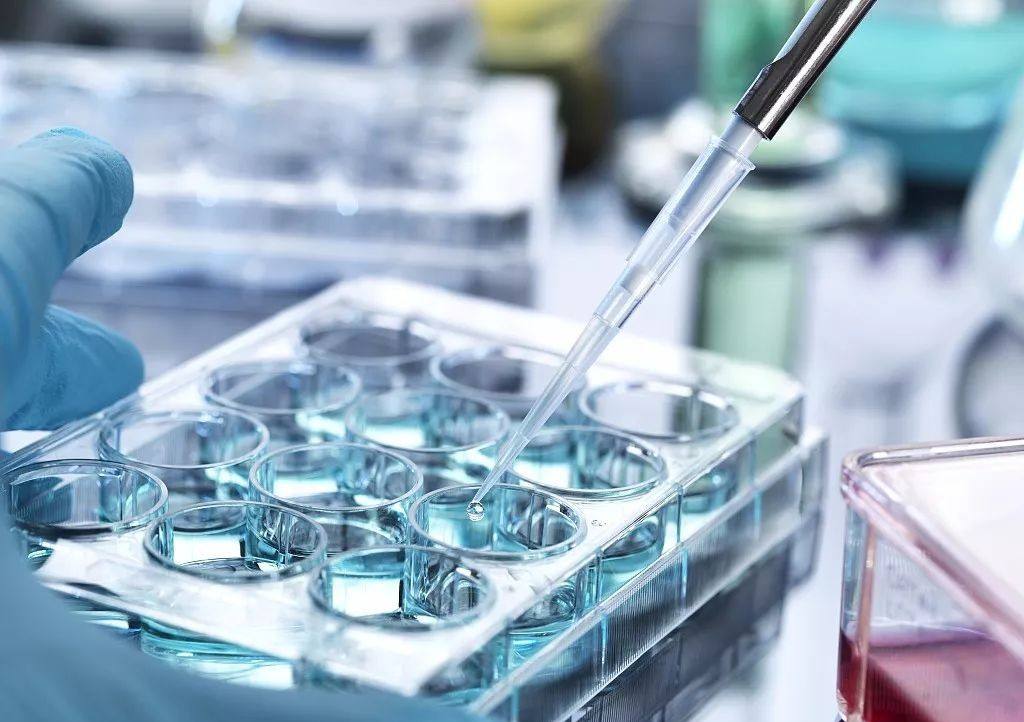 最新数据我国已完成备案的62个干细胞临床研究项目涉及数十种疾病治疗