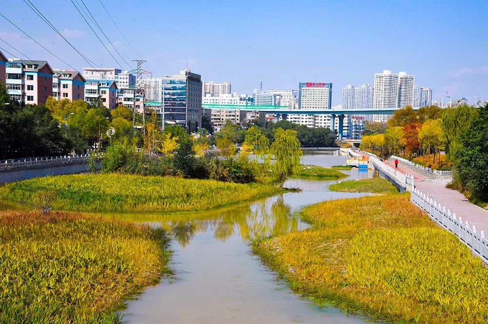 太美西宁南川河秀出高颜值