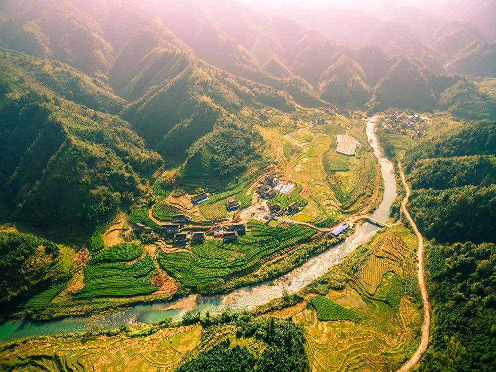 龙胜镇人大代表开展巩固脱贫成效专项视察活动