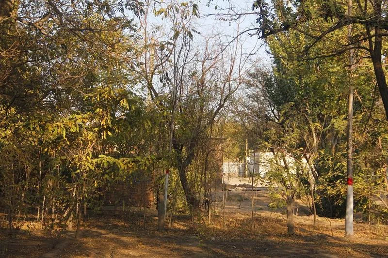 平房区改造:我想住在乌达区,环境美了,百姓乐了!