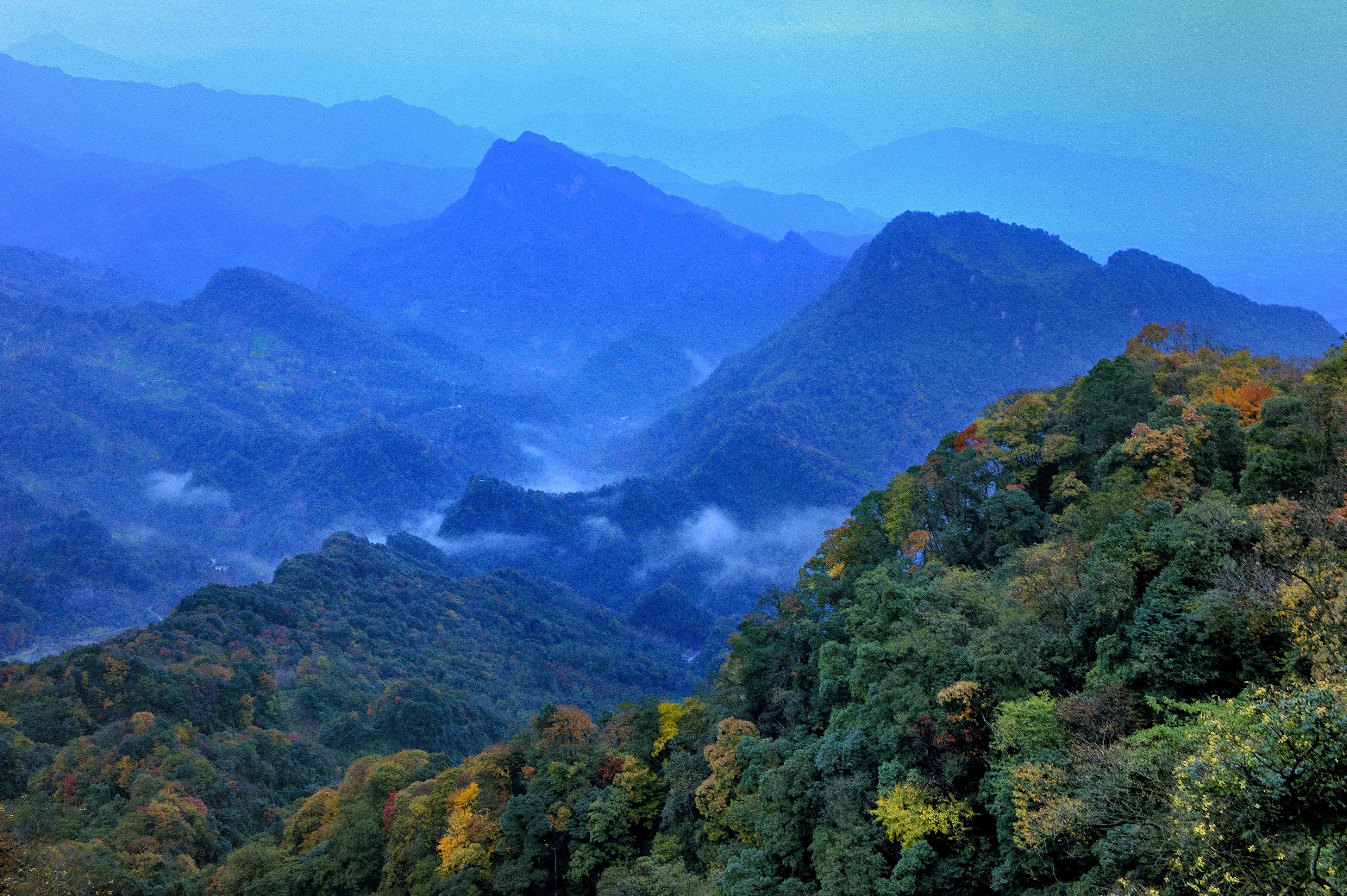 最美金秋醉在青城山都江堰