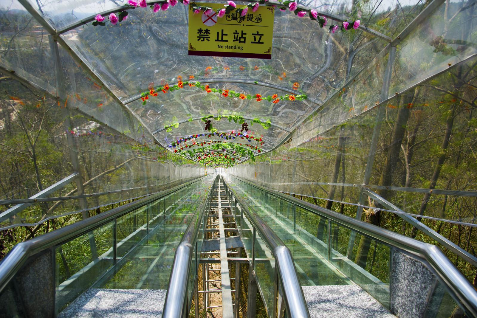 一起来寻花赏草吧,超美!_苗王城