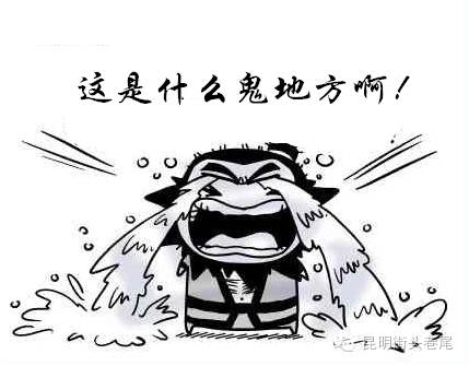 昆明人性格有三宝 ↓ ↓ 渣精 嘴德 家乡宝干燥死热死冷死↓↓昆明