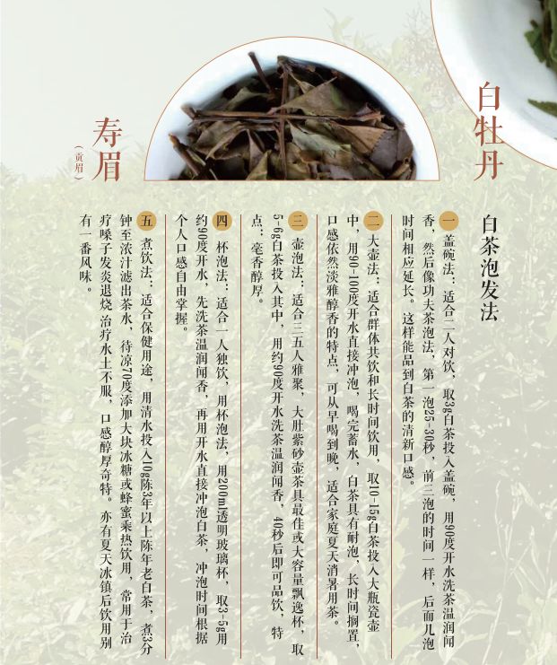 百年巨匠紫砂篇图片