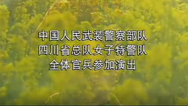 2000年《女子特警队》主演现状,有两位大校,还有名导夫人_杨继军