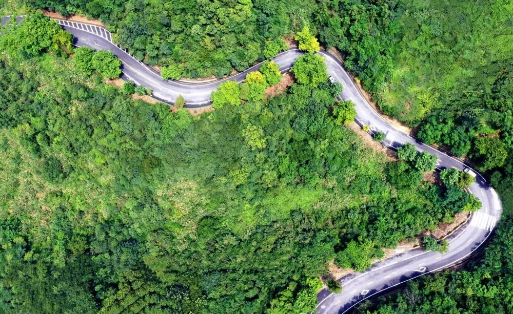 "船行碧波上,车在画中游"是305省道江义段的真实写照.