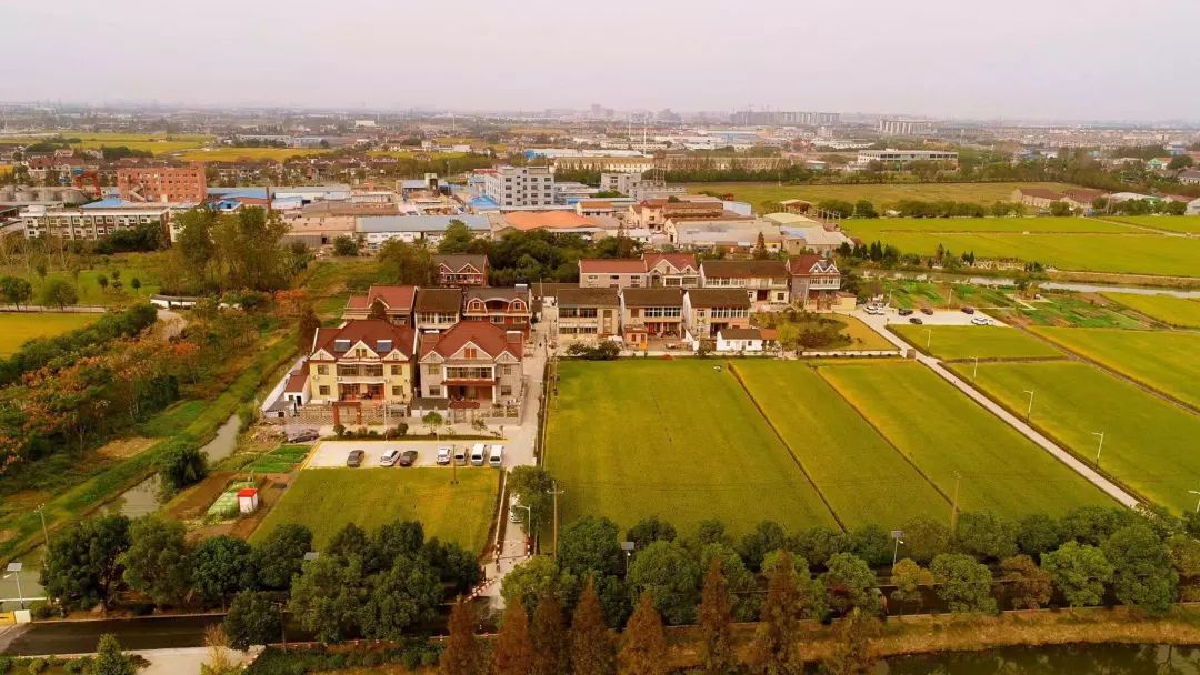 羡慕罗店镇这个村村容村貌大变样犹如一幅乡村山水画