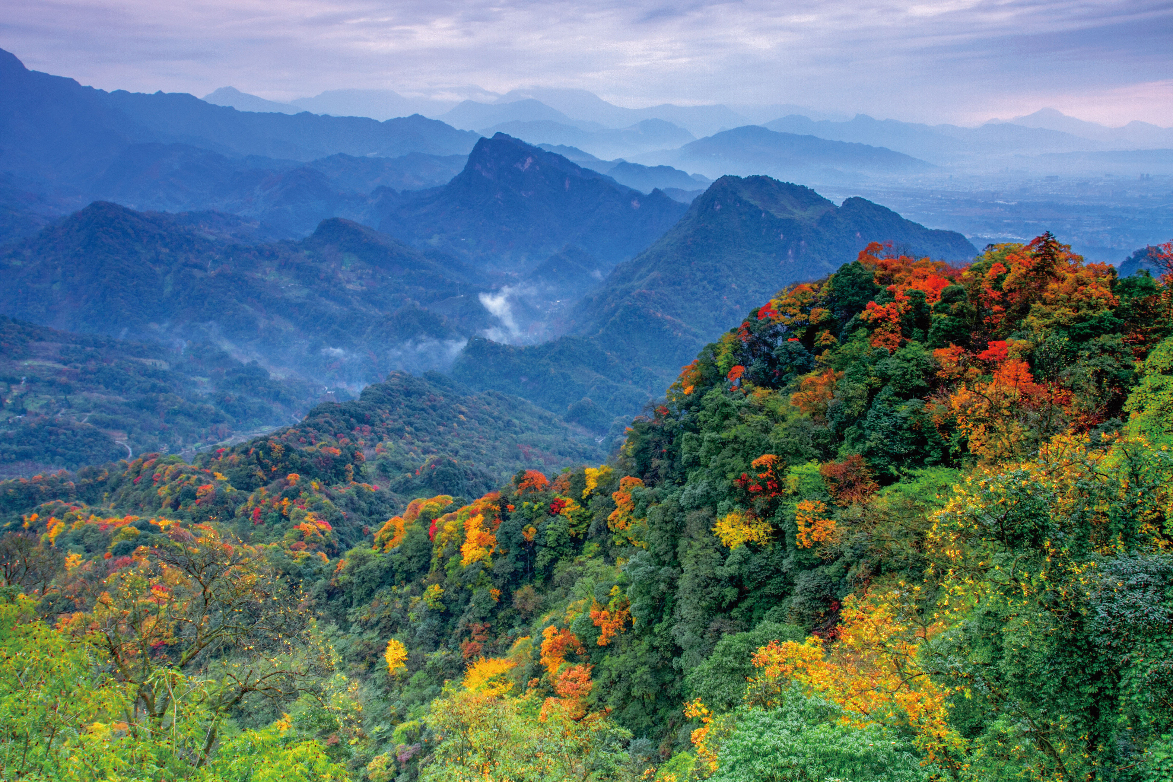 最美金秋醉在青城山都江堰