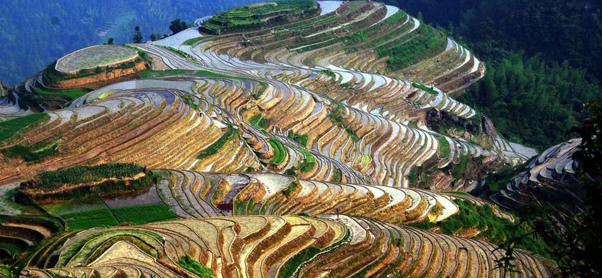 龙脊梯田旅游
