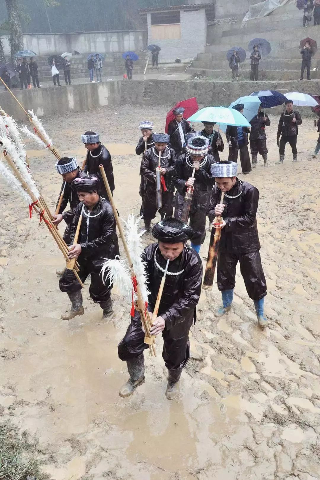 苗族著名诗人太阿《苗年哀歌》摆贝雨中祭祖的另一解读