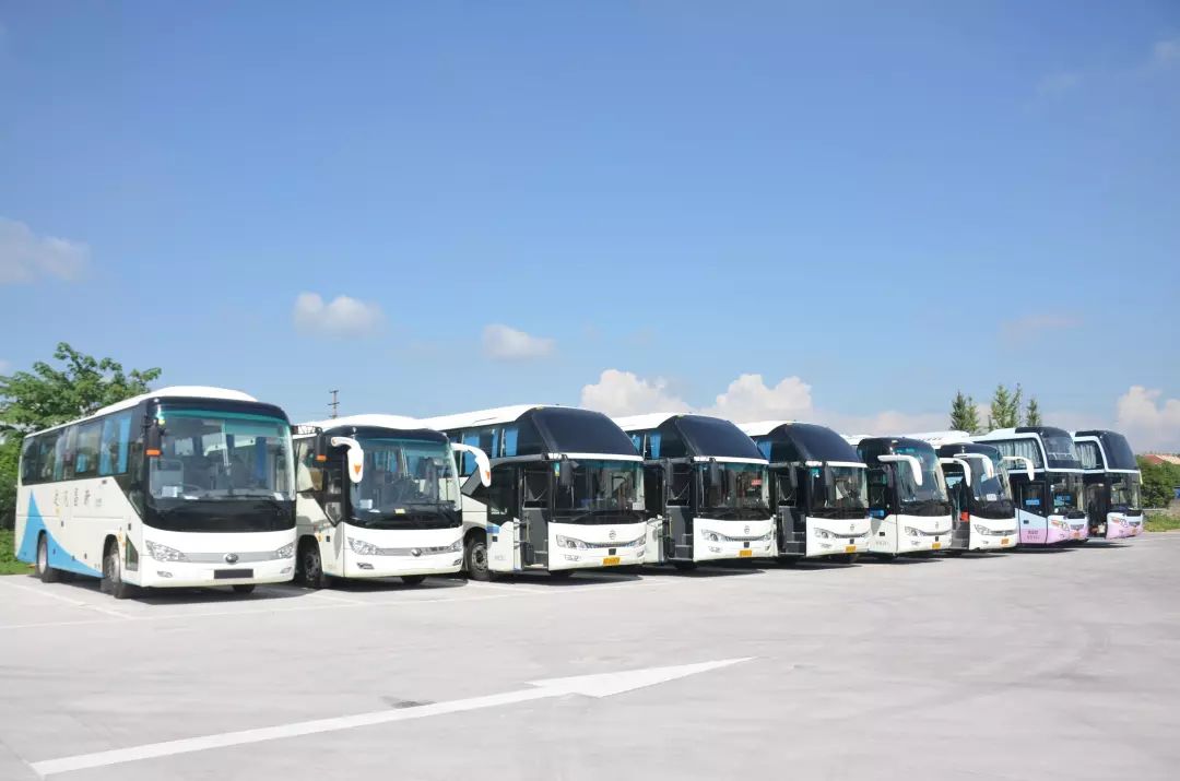 2019缘来新昌氧气音乐节免费接驳车看这里