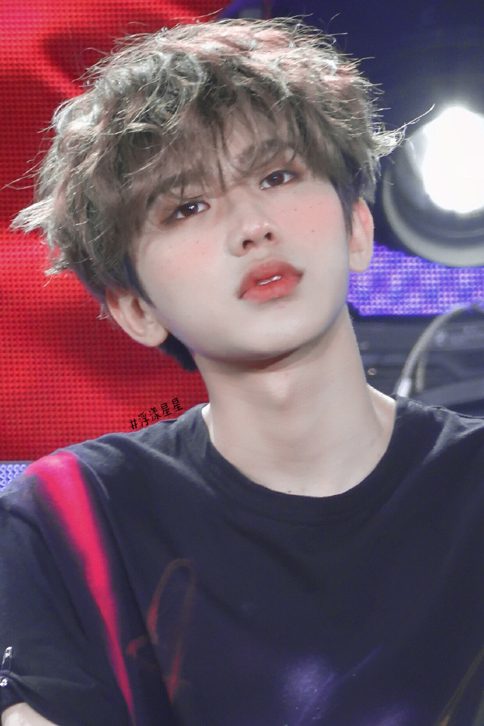 今日份赏葵时间到 圆滚滚肉嘟嘟猪咪世最可!