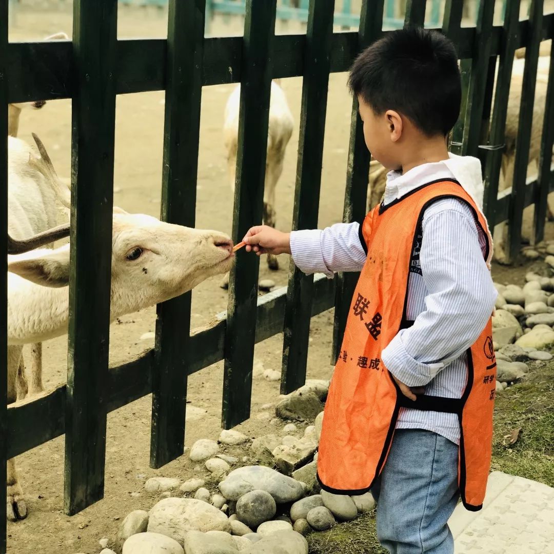 小腳丫樂學教育l02親子探秘動物世界