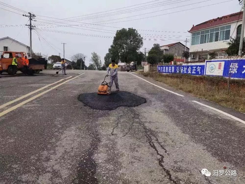 汨罗凌晨5点:公路边来了一群"特殊"的人._白塘镇
