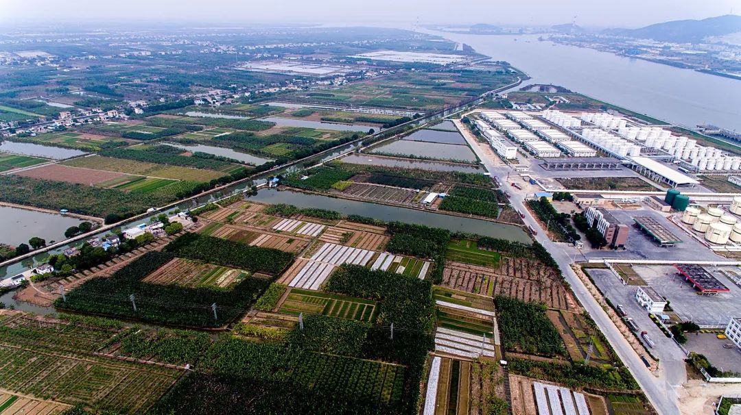 以一城一带一圈打底民众镇绘就岭南水乡新画卷