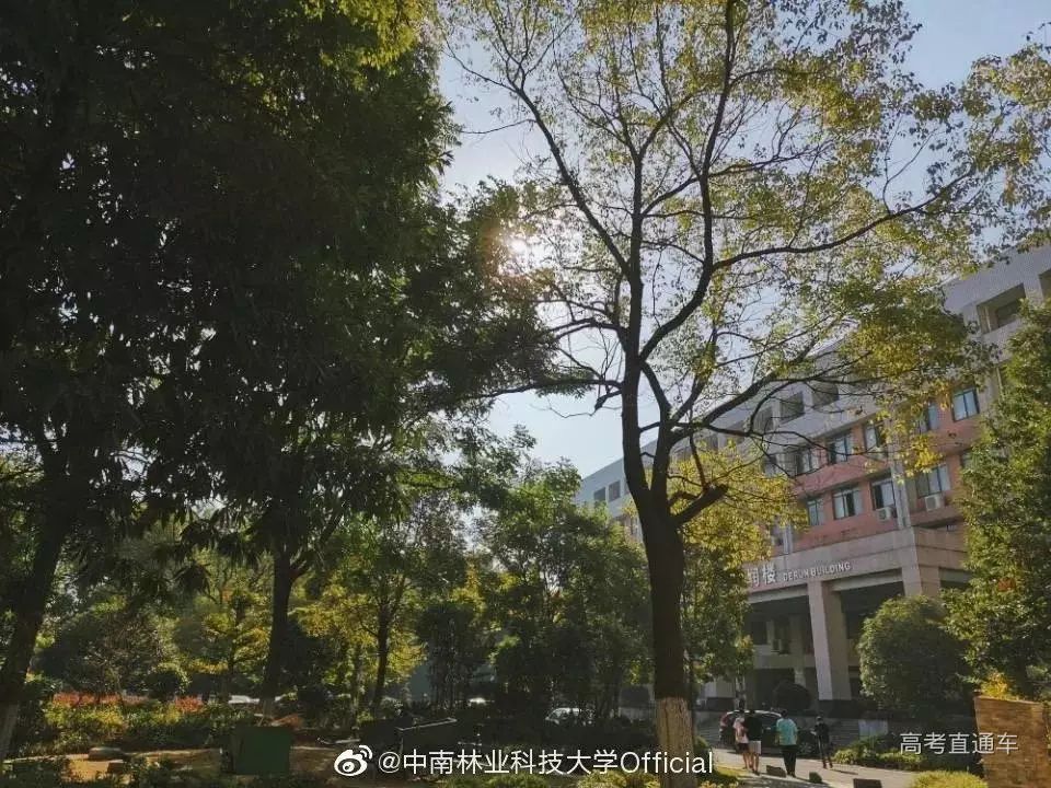 浙江農林大學新聞中心蘇州大學圖片來源@蘇大方塔發佈校園美景這麼多