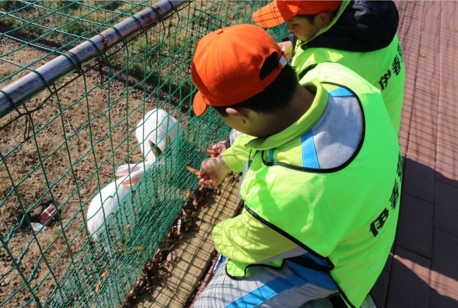 2019年10月19日,來自遼寧撫順高灣中學的同學們在九峰山養心谷度過了