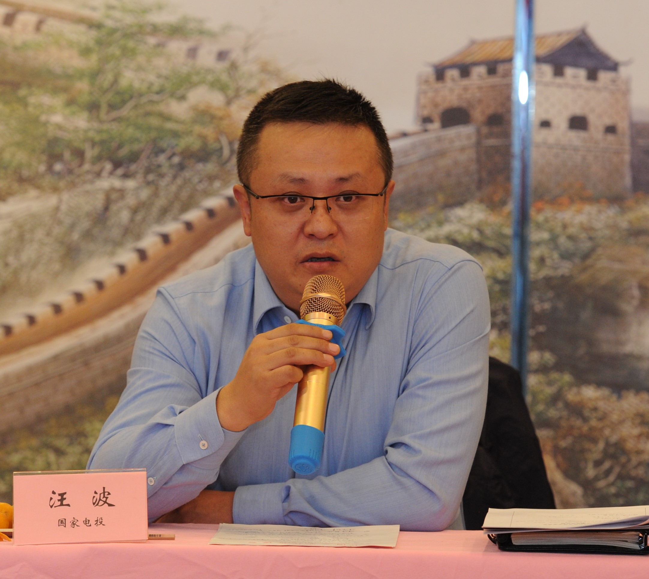 中央财经大学教授 崔新健工信部政策法规司综合处处长 徐华李春伟指出