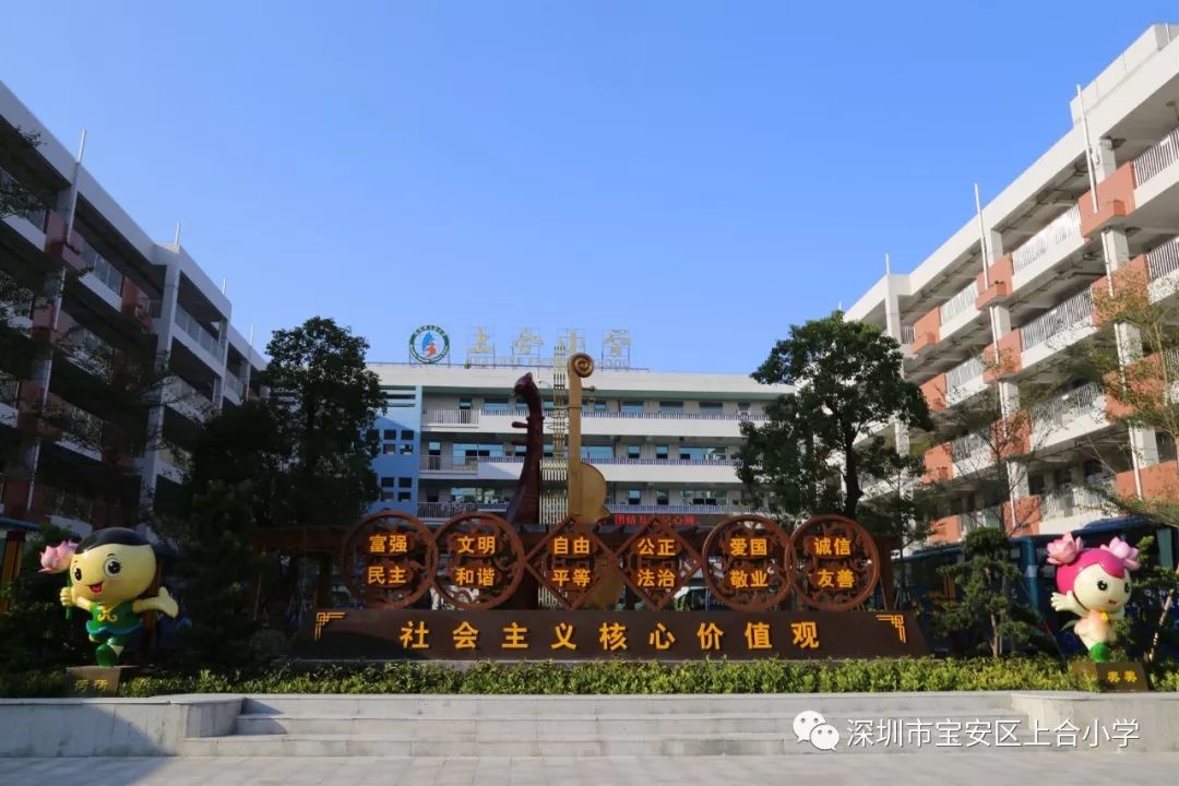 【荷园·科组】腹有诗书气自华,字正腔圆说汉语——上合小学语文科组