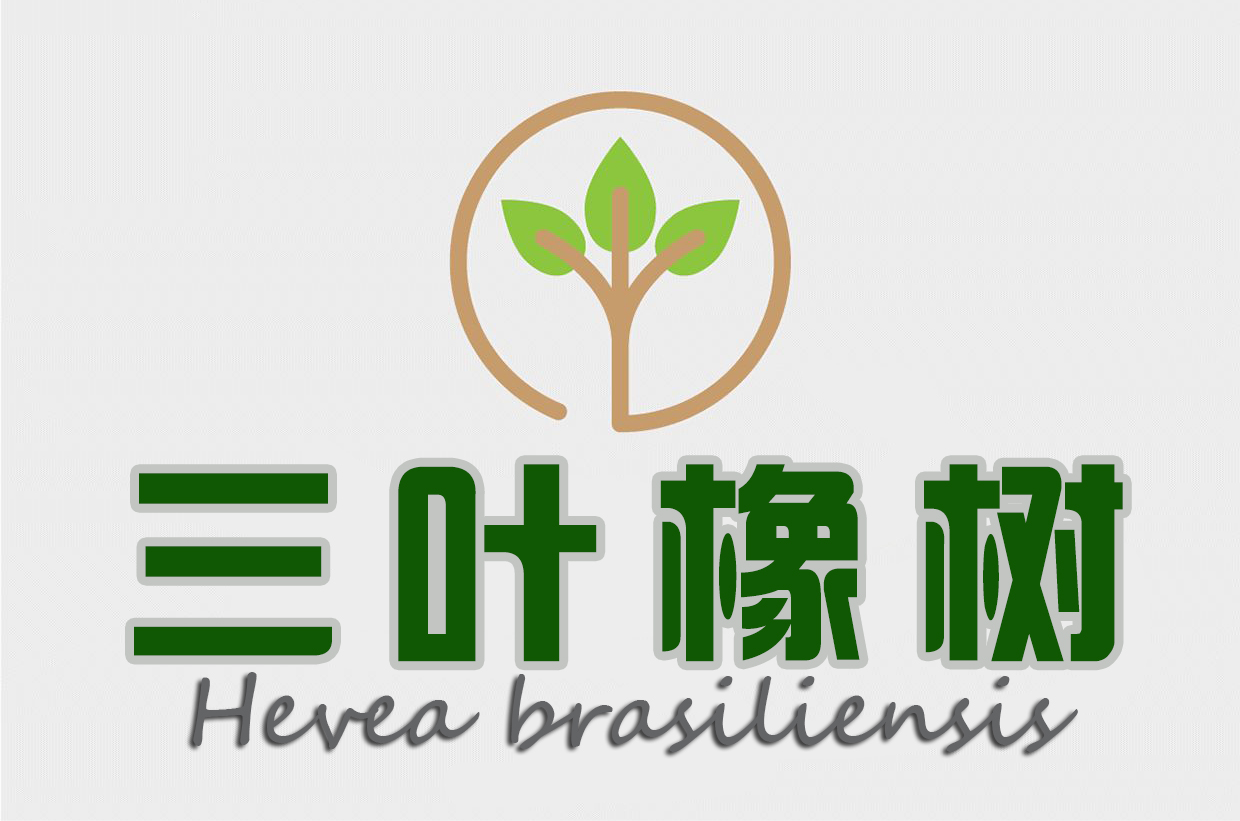 三叶橡树天然乳胶枕