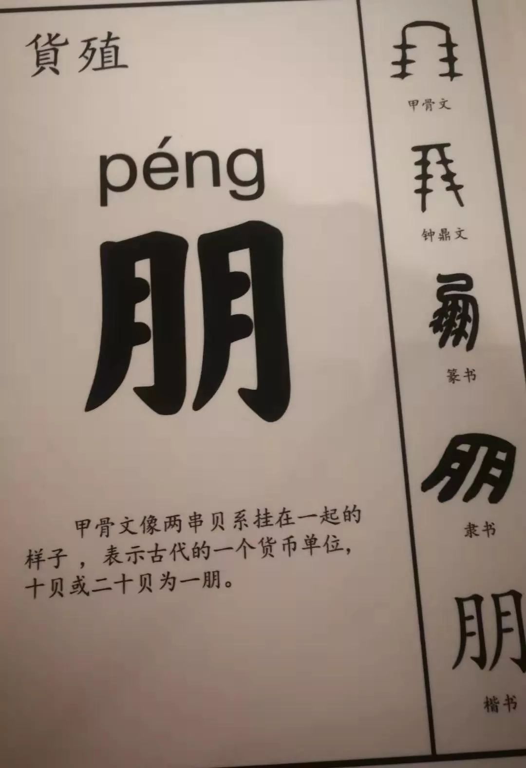 比如朋友的朋字,甲骨文像两串贝挂在一起样子,表示古代的一个货币单位