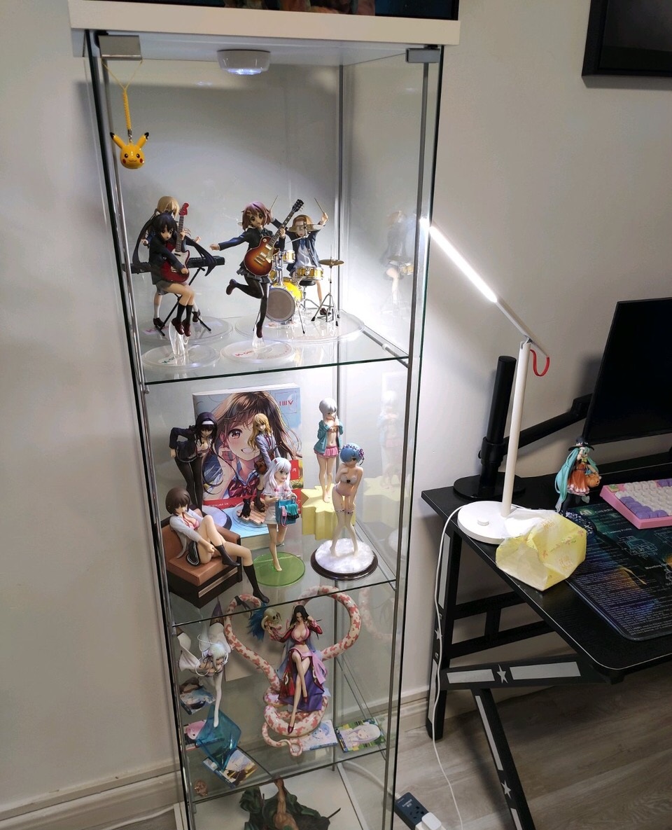 宅男对手办有多痴迷?入坑1月塞满柜子,最后那位是矿里有家_大佬