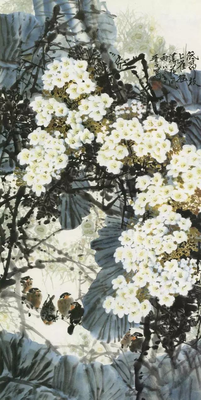 王晋元西双版纳花鸟题材的开拓者