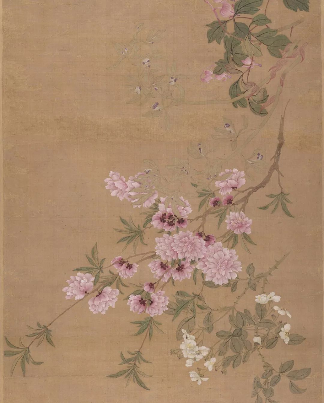 清百花图卷花卉必学之神品看一眼就心生向往