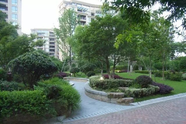 园林绿化苗木:栽植,运输,修剪,养护