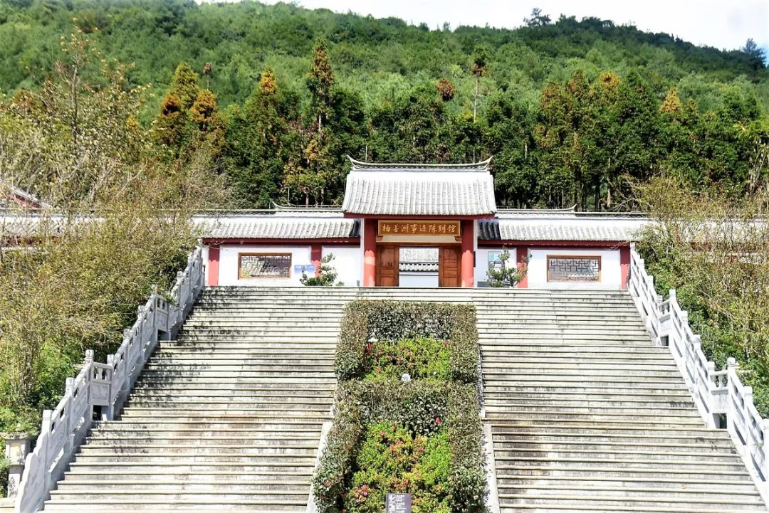 善洲林场忆初心砥砺前行坚信念我校组织党员教师到善洲林场参观学习