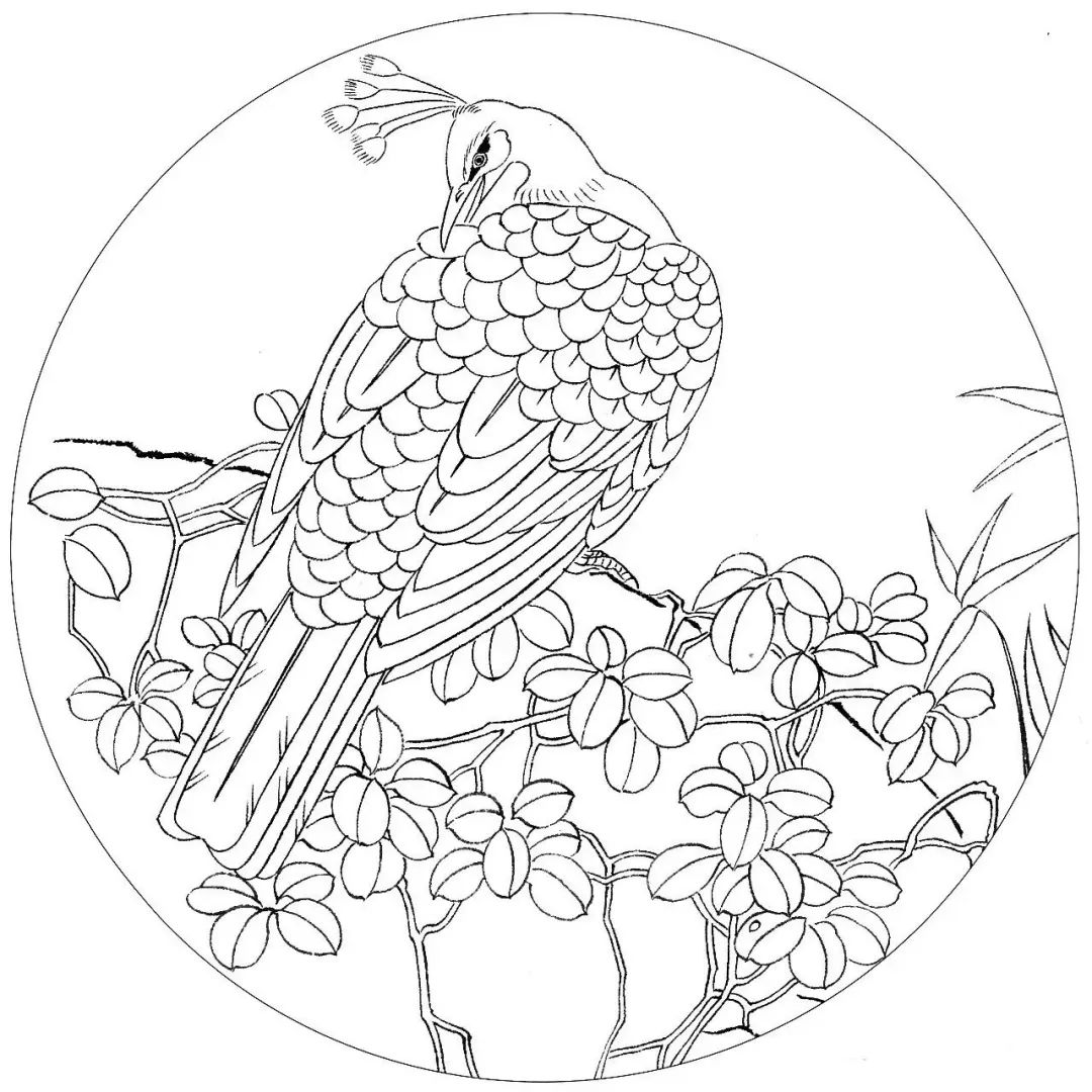 圆面白描高清50幅喜欢拿去