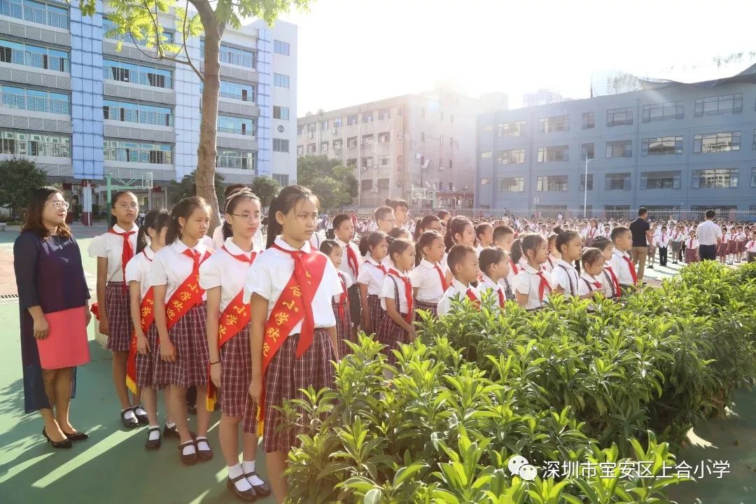 【荷园·科组】腹有诗书气自华,字正腔圆说汉语——上合小学语文科组