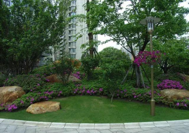 小区绿化园林植物的配置学习_景观