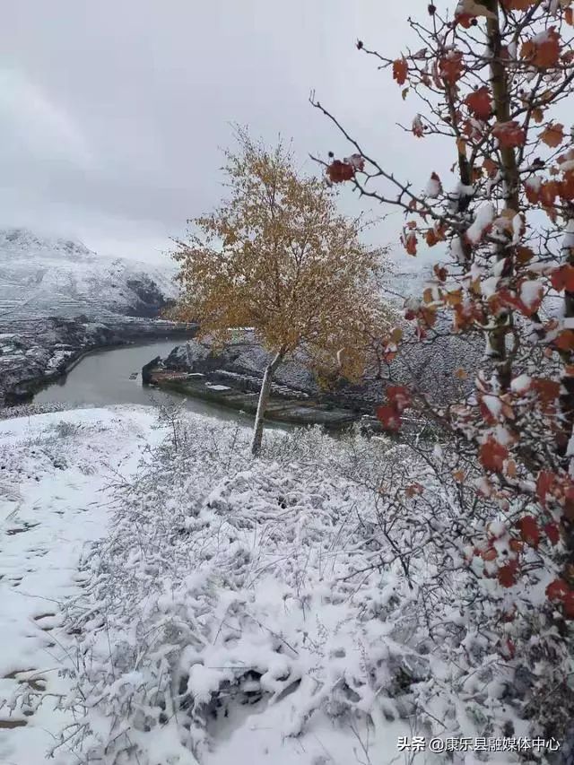 剛拍的雪景圖,簡直美到爆!