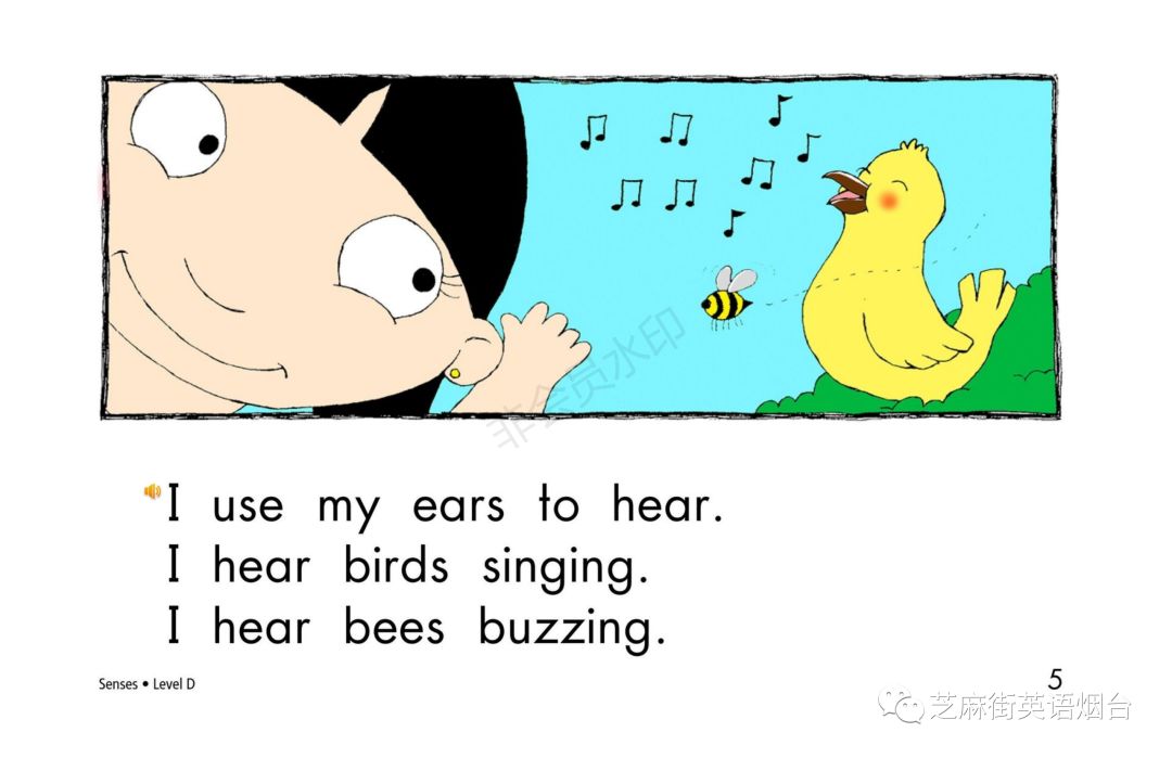 绘本故事《senses》