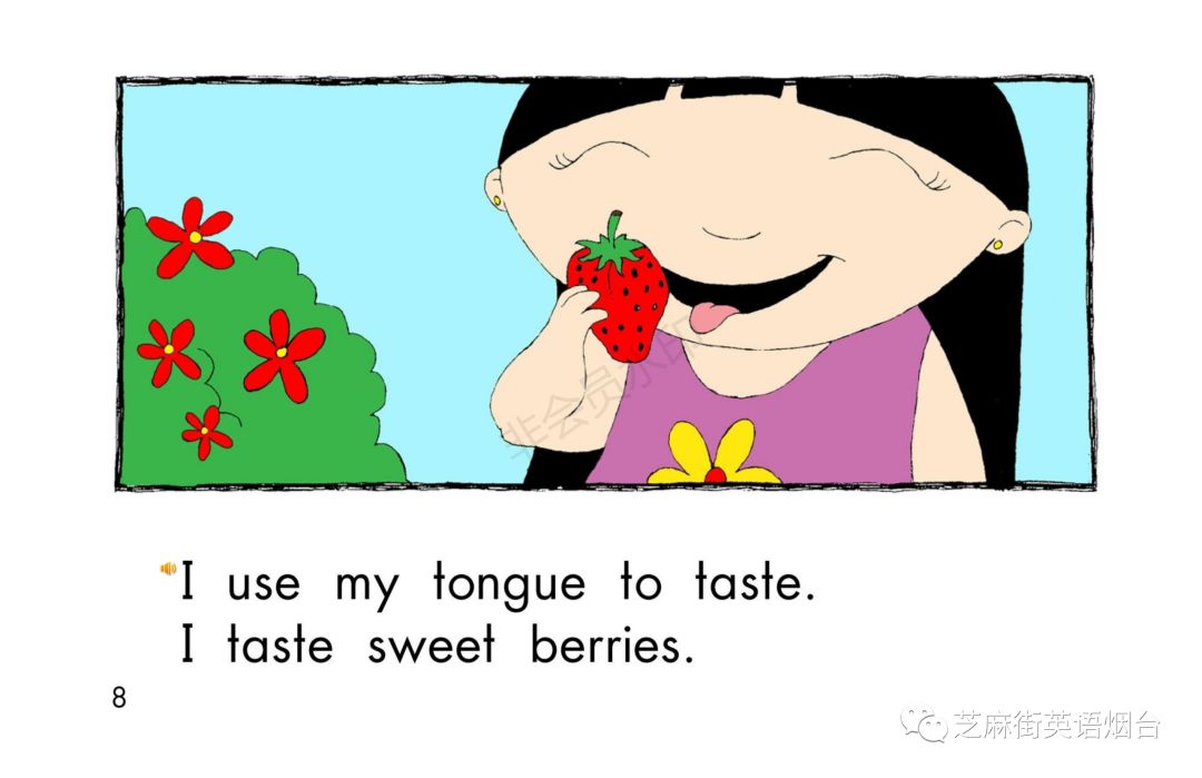 绘本故事《senses》