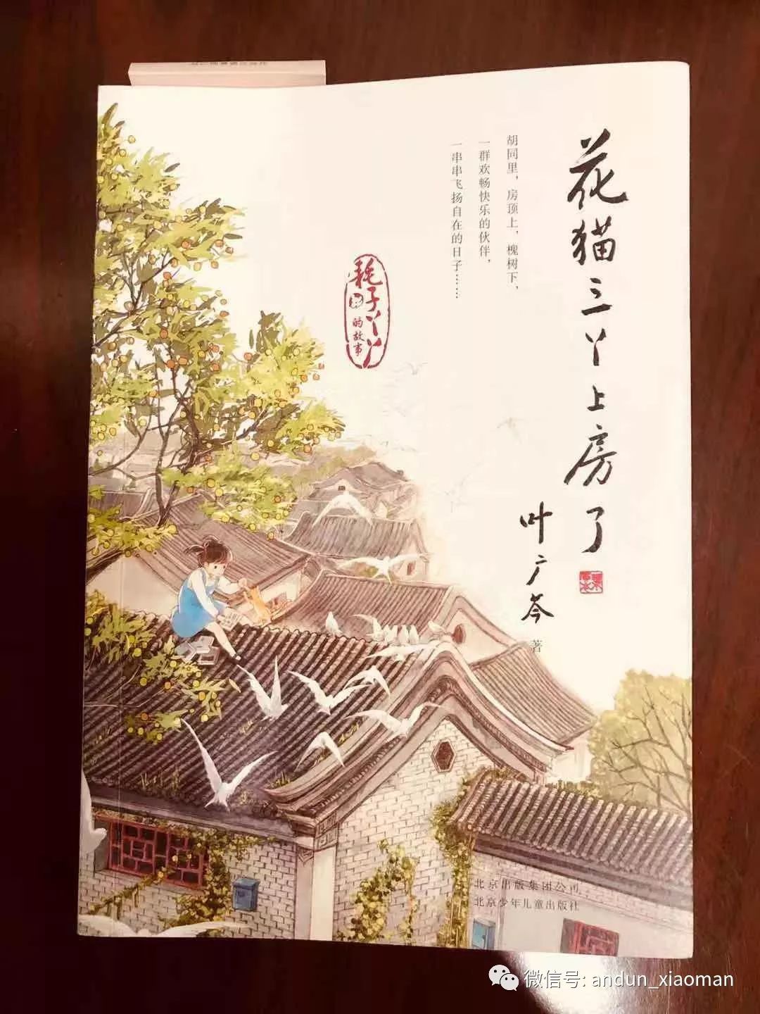 陪着孩子进课堂61周周伴读12花猫三丫上房了